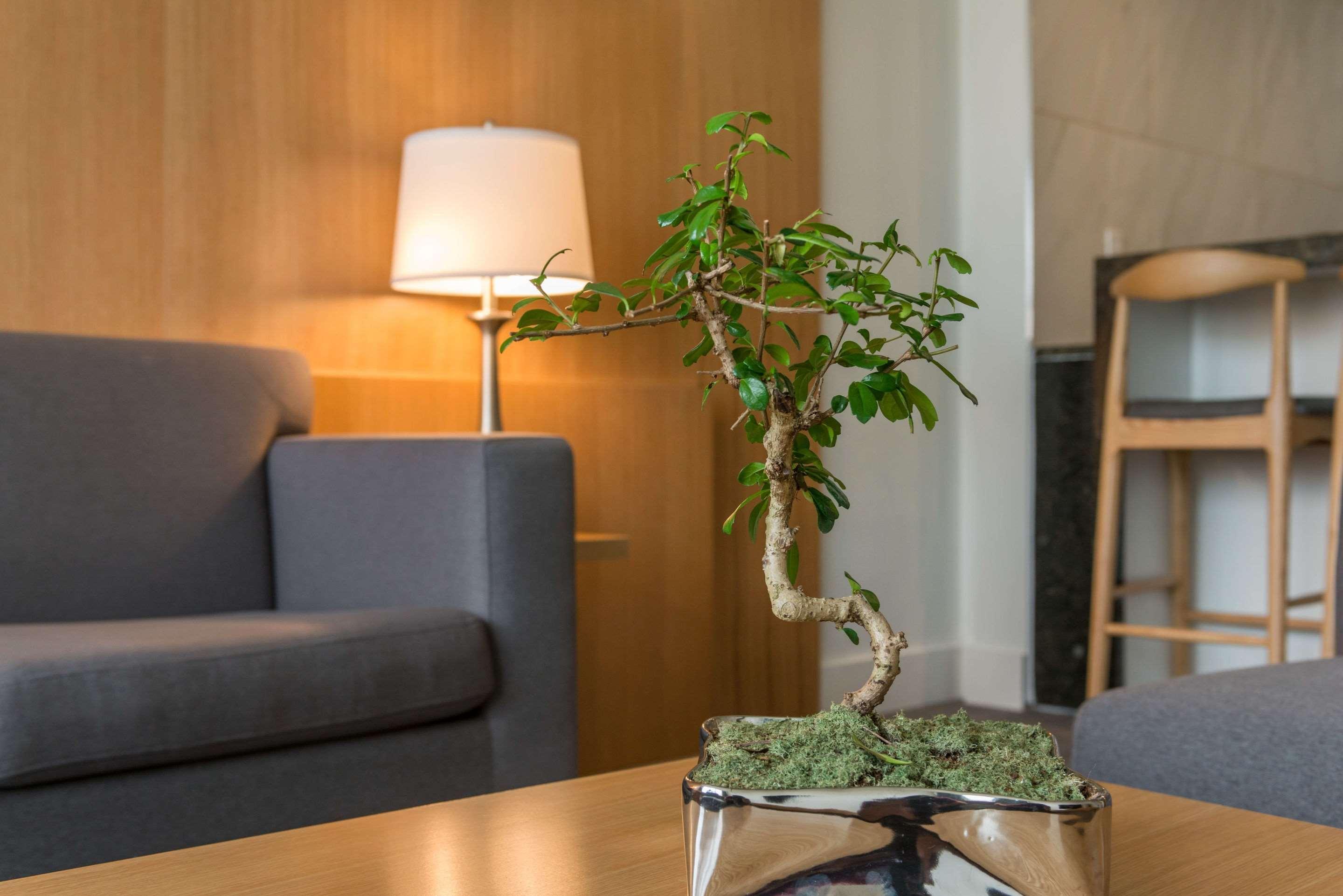 The West Wing Boutique Hotel Тампа Экстерьер фото